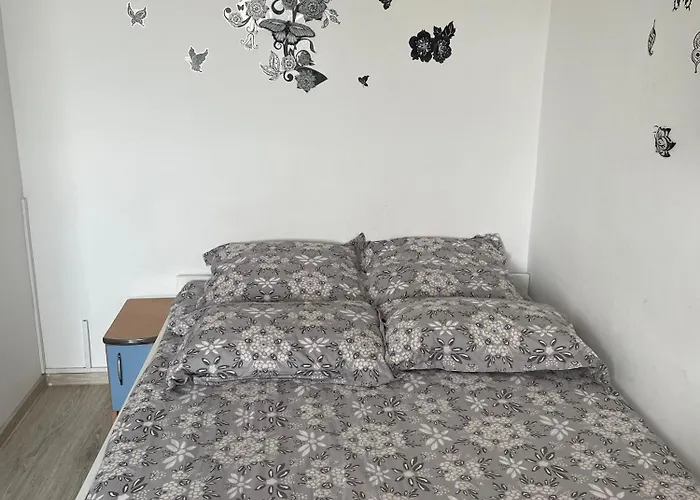 Studio Ianis Bucureşti